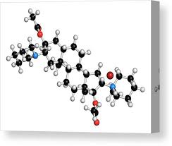 Image result for Vecuronium