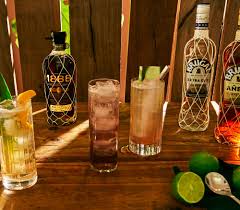 Pin By Roy Charles On All Natural Remedies Highball Recipe Impressive Recipes Mixed Drinks Recipes