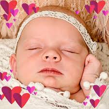 Utah State University Athletics