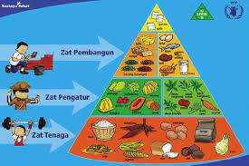 Piramid makanan merupakan panduan bagi memilih makanan secara sihat aras 3 susu dan tenusu kekacang ayam daging ikan fungsi protein membaiki tisu badan membina sel baru untuk pertumbuhan membekalkan tenaga penghasilan bahan kimia seperti hormon pembentukan tulan. Pengenalan Piramid Makanan Bagaimana Untuk Hidup Yang Sihat Melalui Pemakanan