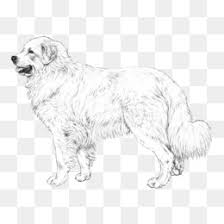 Share your pyr love anywhere with these silhouette stickers! Dog Silhouette
