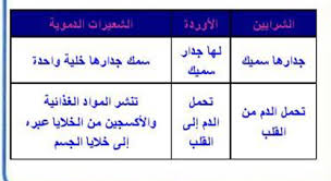 قارن بين الشرايين و الاوردة و الشعيرات الدموية منبع الحلول