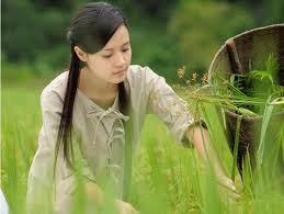 THIÊN MỆNH ANH HÙNG