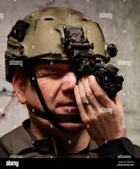 Seal depicted hi-res stock photography and images