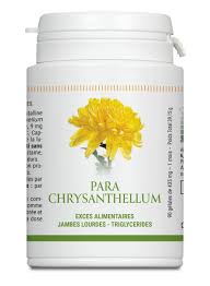 Image result for Chrysanthellum