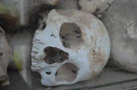 Image result for cambodia history killing fields