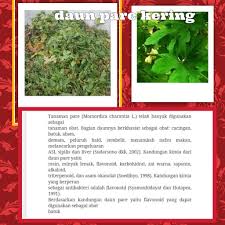 Check spelling or type a new query. Jual Daun Pare Kering Di Lapak Thienkerbell Bukalapak