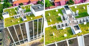 Những luật lệ độc đáo có "1-0-2" trên khắp thế giới, điều thứ hai chắc chắn  khiến 90% đều phải bất ngờ