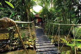 Just 45 minutes away from kl is the gorgeous aman rimba private estate in janda baik. Aman Rimba Private Estate