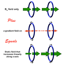 Z Gradients Questions And Answers In Mri