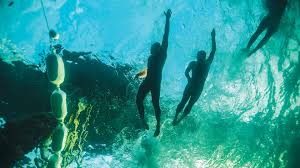 1102) Adrian WHITTINGHAM