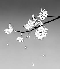 Anime Black And White Manga Aesthetic Shoujo Notes Manga Drawing Aesthetic Anime Flower Drawing