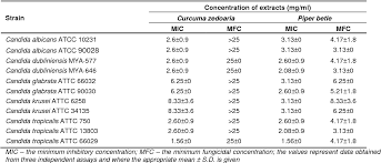 Image result for Aptosimum albomarginatum