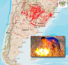 Jun 13, 2021 · la guardia civil potencia los servicios preventivos y de investigación en materia de incendios forestales durante el 2020 hubo 13 detenidos como presuntos responsables de este tipo de delito. Incendios Forestales Y Rurales Provocados Por Los Incendiarios Sin Mordaza