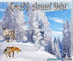 Kráska zná tajemný les lépe než kdokoli jiný. Lisak Na Lovu Picmix