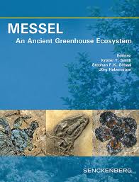 Hi again jenny, thanks for the additional information. Messel An Ancient Greenhouse Ecosystem Schweizerbart Science Publishers