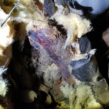 Image result for site:byggahus.se kylslinga