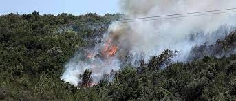 Φωτιά έχει ξεσπάσει στον βαρνάβα και συγκεκριμένα στην περιοχή βρύσσες. M7s8gjhk9gba7m