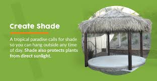 What should you add to make your. Designing And Creating Your Tropical Backyard Space