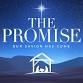 The Promise - A Christmas Series event in Naples, FL