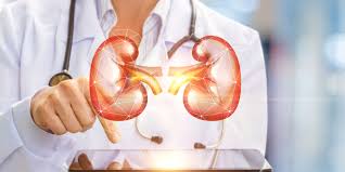 Nanavati super speciality hospital has an excellent urologists. Best Urology Hospitals In India