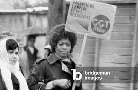 Image result for Grevea