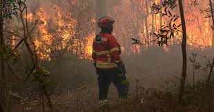 Ligue já em caso de emergência para os bombeiros mais perto de si! Incendios Bombeiro De Proenca A Nova Encontrado Morto