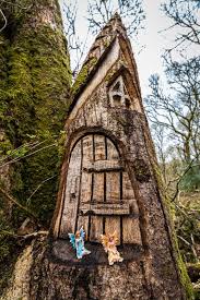 (geordie) on a lower level than before; Doon Hill Fairy Tree Loch Lomond Trossachs