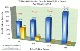 Antral Follicle Counts Testing Ovarian Reserve Predicts Ivf