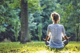 We did not find results for: Trans Transcends With Transcendental Meditation