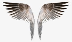 (cutting or burning) of the body for ritual, esthetic, medicinal, magic, or religious purposes. Visit Burned Angel Wings Png Deviant Transparent Png 900x695 Free Download On Nicepng