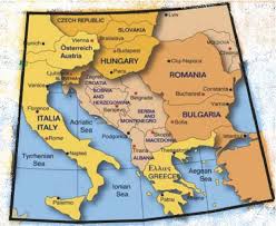 Image result for Rytigynia lewisii