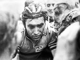 The eddy merckx company was the eddy merckx company was established more than 35 years ago with a mission to produce the. Eddy Merckx Bei Der Belgischen Meisterschaft Bild Kaufen Verkaufen