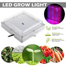 Check spelling or type a new query. Buy 1000w 120 Led Grow Light With Plug Waterproof Hydroponic Full Spectrum Plant Vegetable Flower Bloom Lamp Us Eu Plug At Affordable Prices Free Shipping Real Reviews With Photos Joom