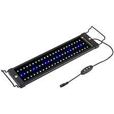 Adjustable fixture legs fit a variety of aquarium sizes. Buy Nicrew Classicled Aquarium Light Fish Tank Light With Extendable Brackets White And Blue Leds Online In Vietnam B01c84slro