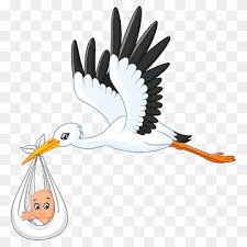 Use a mild soap and gently bathe your bird to clean her. Baby Background Png Images Pngwing