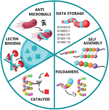 A call number is like an address; Applications Of Discrete Synthetic Macromolecules In Life And Materials Science Recent And Future Trends Aksakal 2021 Advanced Science Wiley Online Library