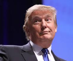 Montana man faces life in prison after officers find 'actively growing  marijuana plants'