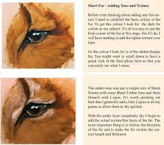 How To Paint Fur Texture Short Fur Painting Fur Animal Paintings Acrylic Animal Paintings
