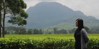 Obyek wisata kebun teh majalengka cipasung terletak di desa cipasung kecamatan lemah sugih, sekitar 52 km atau 2 jam berkendara dari pusat kota majalengka ke sebelah selatan. Napak Tilas Di Kebun Teh Malabar Halaman All Kompas Com