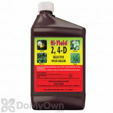 Johnson's attorneys said they're weighing their options. Will Hi Yield 2 4 D Selective Weed Killer Kill Johnson Grass