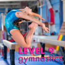 Image result for what are the requirements for level 9 gymnastics