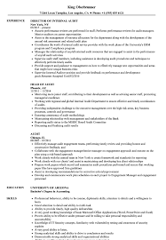 Generating ideas to maximize assignment profitability. Audit Resume Samples Velvet Jobs