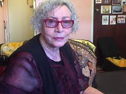 Public housing, Sydney: What life is like in a high-rise tower block