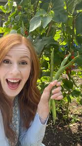 Life lately... 1. This week of warmish but not  hot-as-the-surface-of-the-sun weather has been nice hasn't it? 2. Dog +  sprinkler = hours of entertainment 3. Probably my favourite looking sweet  pea this