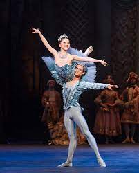 Rina Kanehara Daniel Mccormick In The Sleeping Beauty C Foteini Christofilopoulou Ballet Beautiful Male Ballet Dancers Ballet Dancers