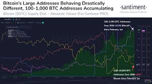 But, the relentless bullish momentum in cryptos pulled bitcoin higher. Bitcoin Aufwartstrend Nicht Vorbei Grosse Wale Verkaufen Kein Btc Daten Zeigen