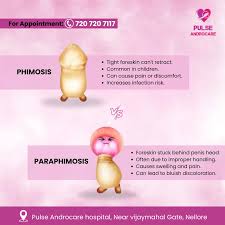 Image result for Phimosis
