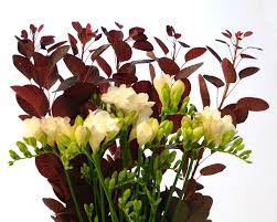 Freesia And Cotinus World Of Color Freesia Color