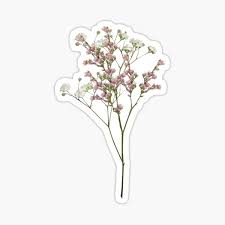 We did not find results for: Babys Breath Stickers Redbubble